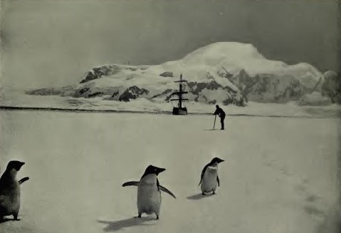 Penguins and the Pourquoi-Pas?